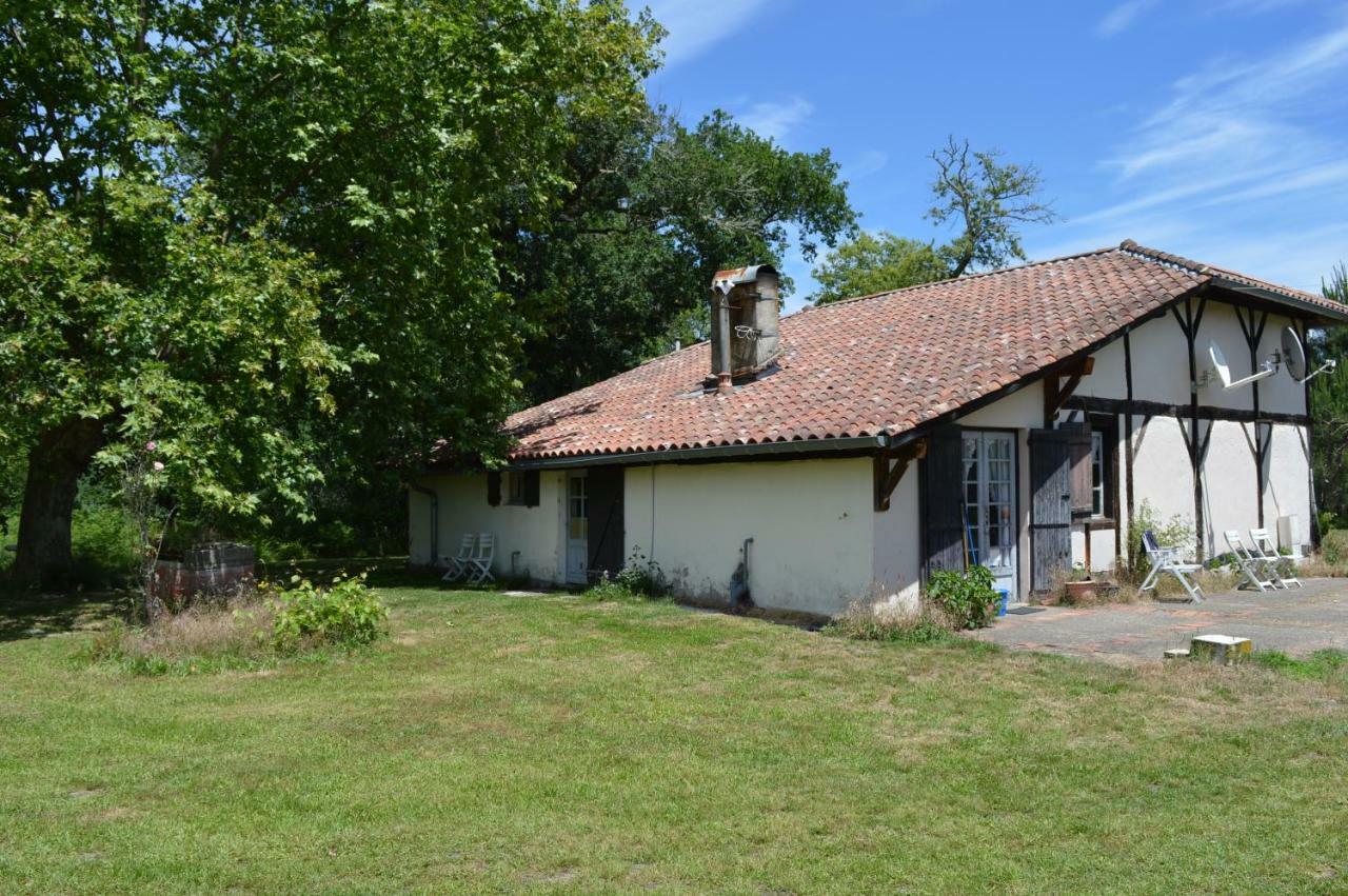 La Suite Du Bucheron Laharie Exterior photo