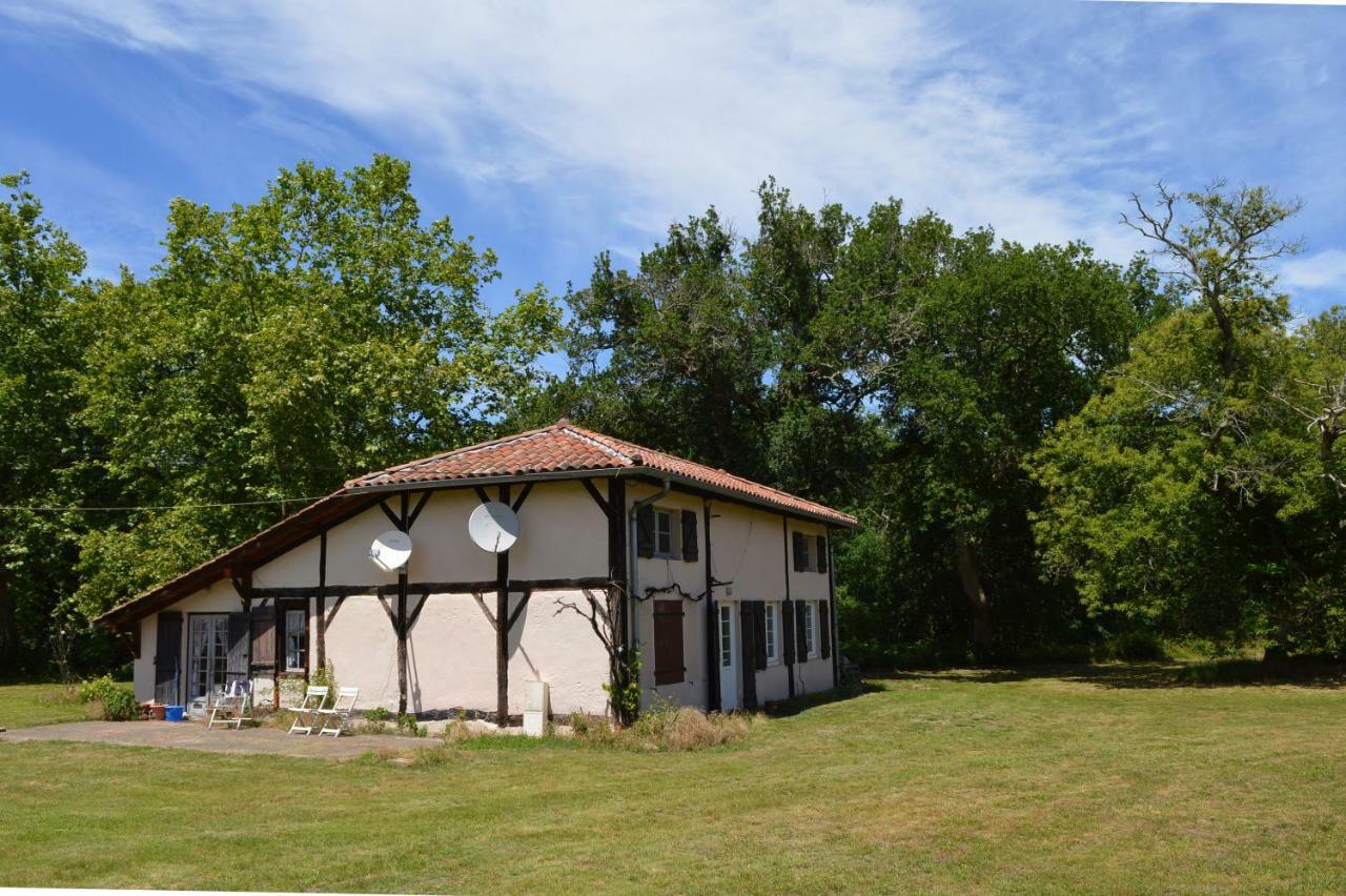La Suite Du Bucheron Laharie Exterior photo